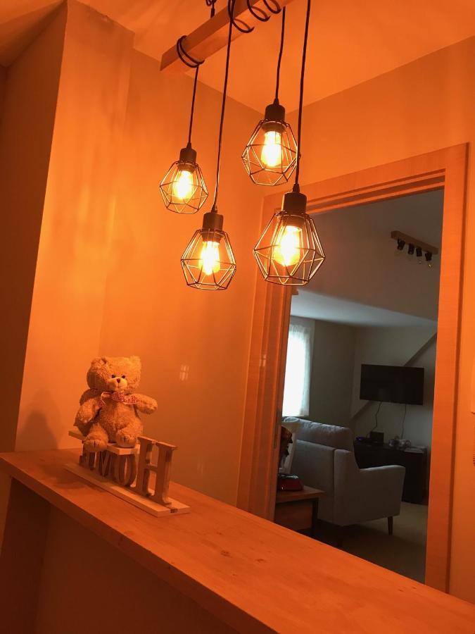Casa Helena Apartment Nieuwpoort Bagian luar foto